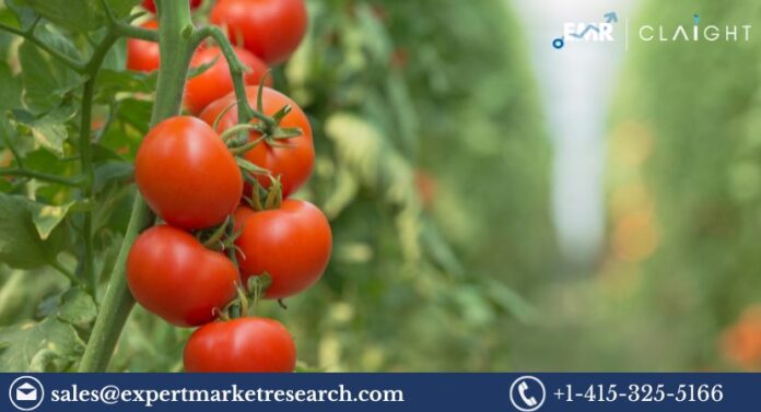 Tomato Market