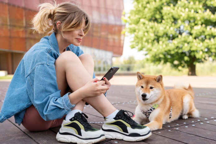 Dog Walking App Development