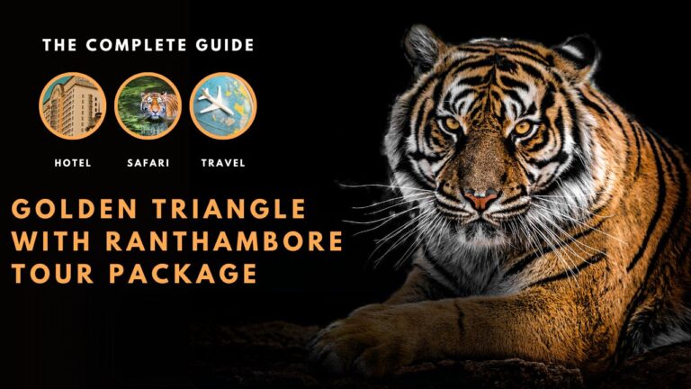 Discover Ranthambore Vacation Packages – Top Wildlife Trips