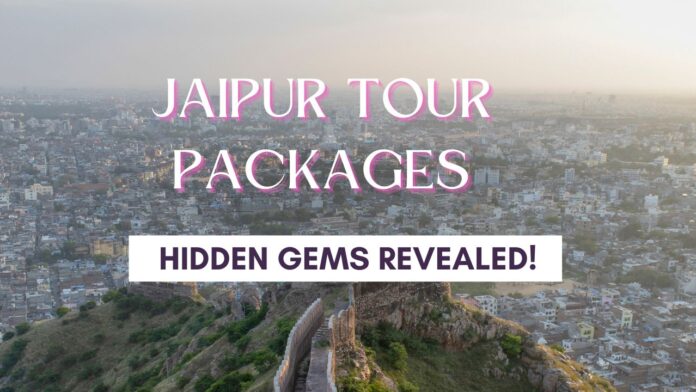 jaipur day trip